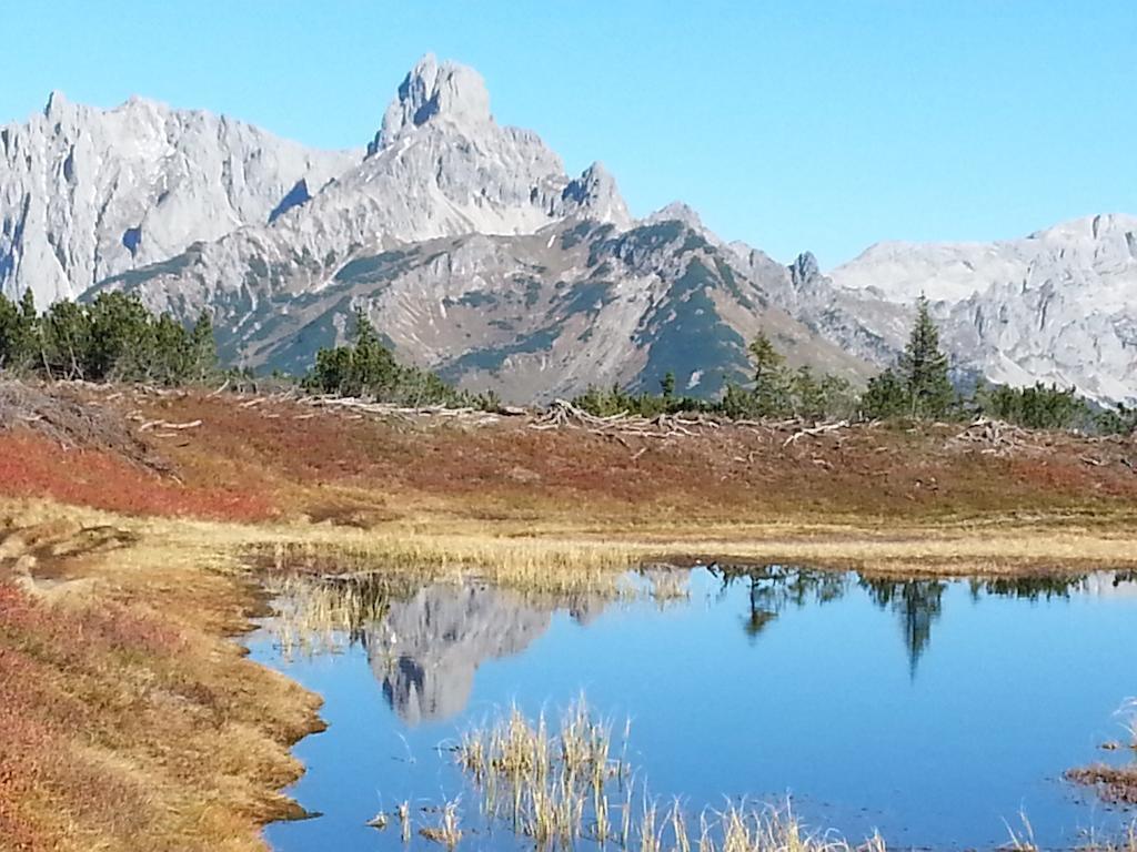 Ferienwohnung Bergblick Filzmoos Szoba fotó